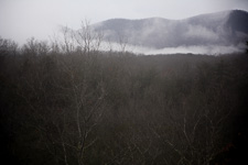 Great Smoky Mountains
